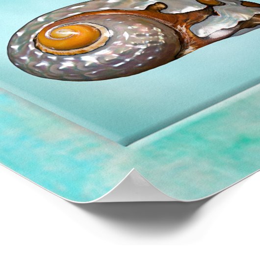 Seashells' Collage Poster - Aqua Background (Ecke)
