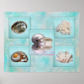 Seashells' Collage Poster - Aqua Background (Vorne)