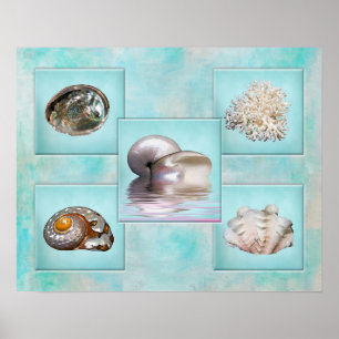 Seashells' Collage Poster - Aqua Background