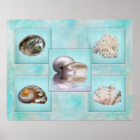 Seashells' Collage Poster - Aqua Background (Vorne)