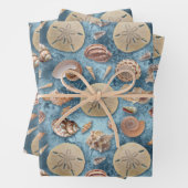 Seashells Collection Geschenkpapier Set (Beispiel)