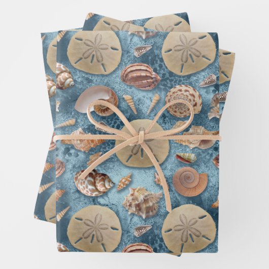 Seashells Collection Geschenkpapier Set (Beispiel)