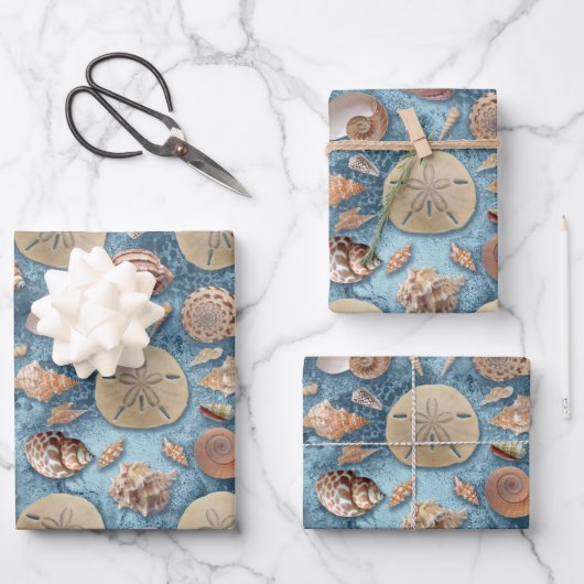 Seashells Collection Geschenkpapier Set (Vorderseite)