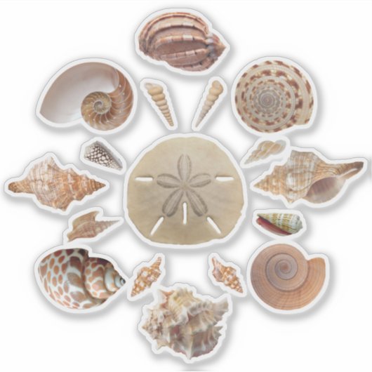 Seashells Collection Mandala Aufkleber (Vorderseite)
