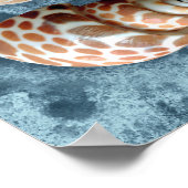 Seashells Collection Poster (Ecke)