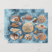 Seashells Collection Postkarte (Vorne/Hinten)