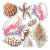 Seashells Conchs Starfish Collection Aufkleber (Vorderseite)