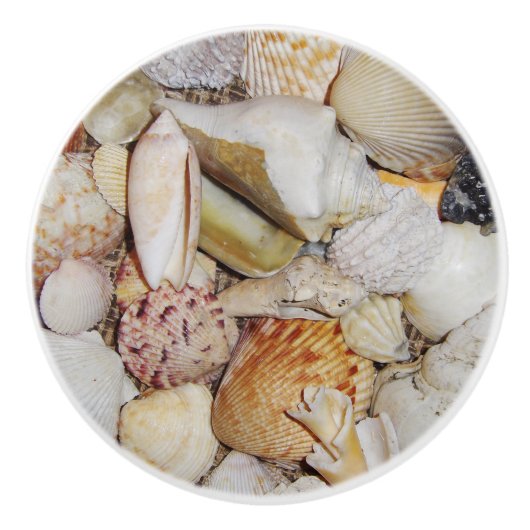 Seashells Drawer Pull Keramikknauf (Vorderseite)
