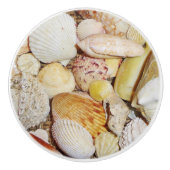 Seashells Drawer Pull Keramikknauf (Vorderseite)