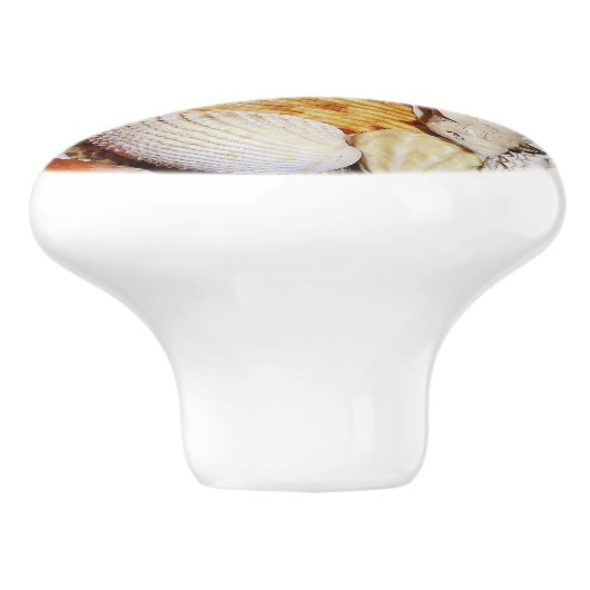 Seashells Drawer Pull Keramikknauf (Seitenansicht)