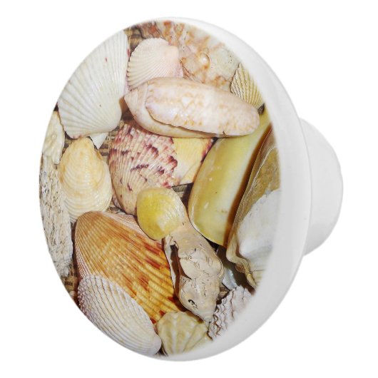 Seashells Drawer Pull Keramikknauf (Rechts)