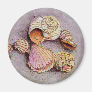 SEASHELLS durch SHARON SHARPE Magnet
