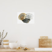 Seashells Fine Art Fotografy Poster (Küche)