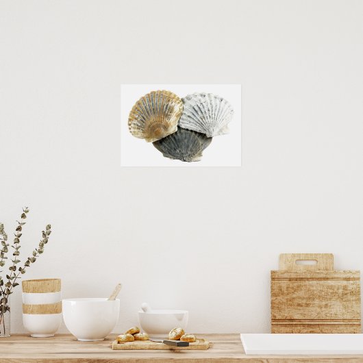 Seashells Fine Art Fotografy Poster (Küche)