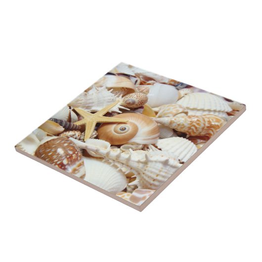 Seashells Fliese (Seite)