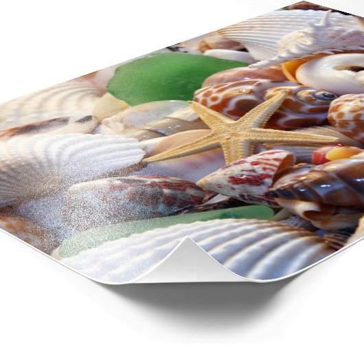 Seashells Foto Prints (Ecke)