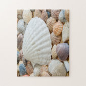 Seashells Foto Puzzle (Vertikal)
