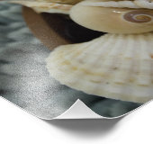 Seashells ! fotodruck (Ecke)