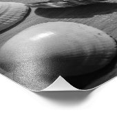 Seashells Fotodruck (Ecke)