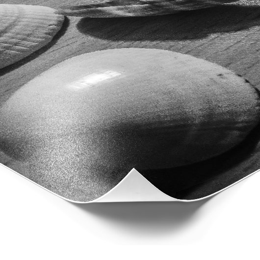 Seashells Fotodruck (Ecke)