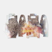 Seashells Fotografie Geschenkschachtel (Ungefaltet)