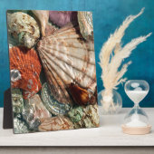 Seashells Fotoplatte (Seite)