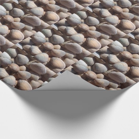 Seashells Geschenkpapier (Ecke)