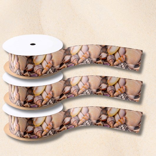 Seashells Gift Ribbon Satinband