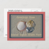 Seashells Gruß aus IBSP Seaside Park NJ Postkarte (Vorne/Hinten)