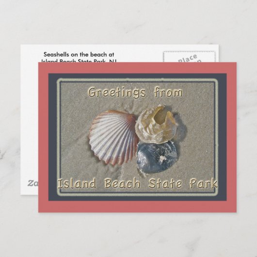 Seashells Gruß aus IBSP Seaside Park NJ Postkarte (Vorne/Hinten)