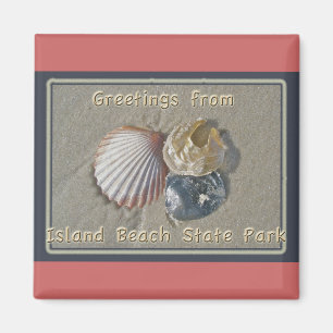 Seashells-Grüße vom IBSP Küsten-Park NJ Magnet