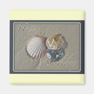 Seashells Happy Birthday Coordinated Items Magnet