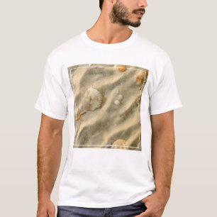Seashells im Sand T-Shirt