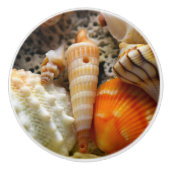 Seashells Keramik Knob Keramikknauf (Vorderseite)