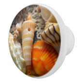 Seashells Keramik Knob Keramikknauf (Rechts)