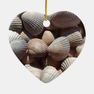 Seashells Keramik Ornament