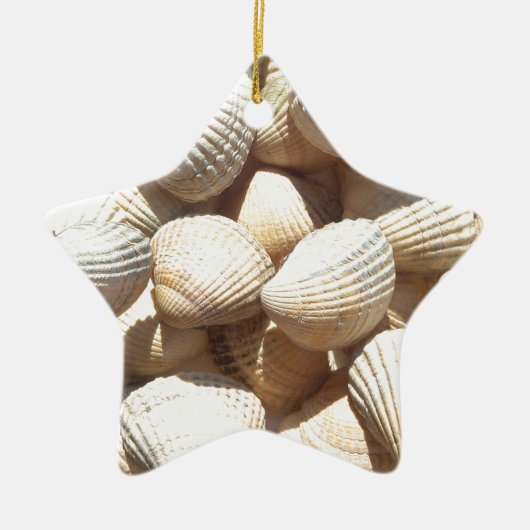 Seashells Keramik Ornament (Vorne)