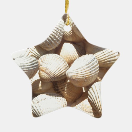 Seashells Keramik Ornament (Hinten)
