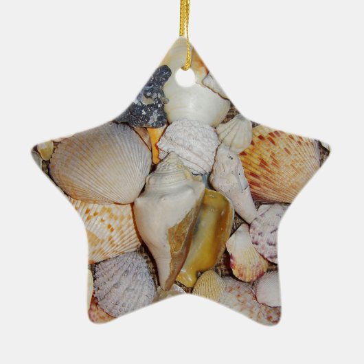 Seashells Keramikornament (Hinten)