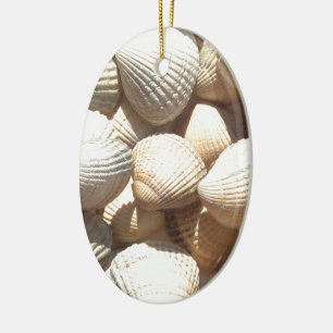 Seashells Keramikornament
