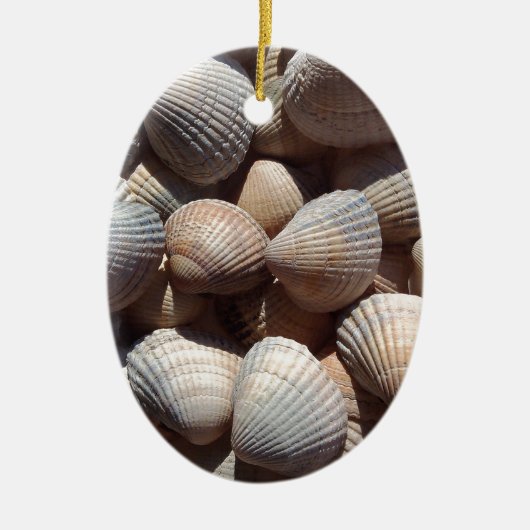 Seashells Keramikornament (Vorne)