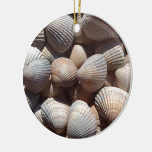 Seashells Keramikornament