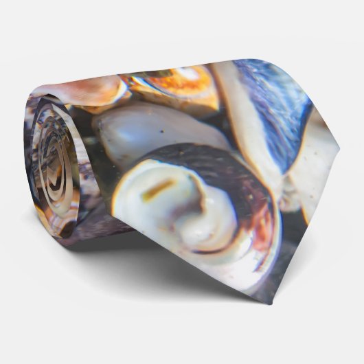 Seashells Krawatte (Gerollt)