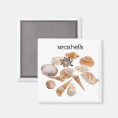 Seashells Kühlschrank Magnet (Vorderseite/Rückseite)