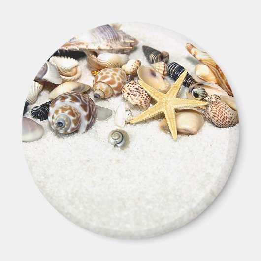 Seashells Magnet (Vorne)