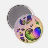 Seashells Magnet (Vorderseite/Rückseite)