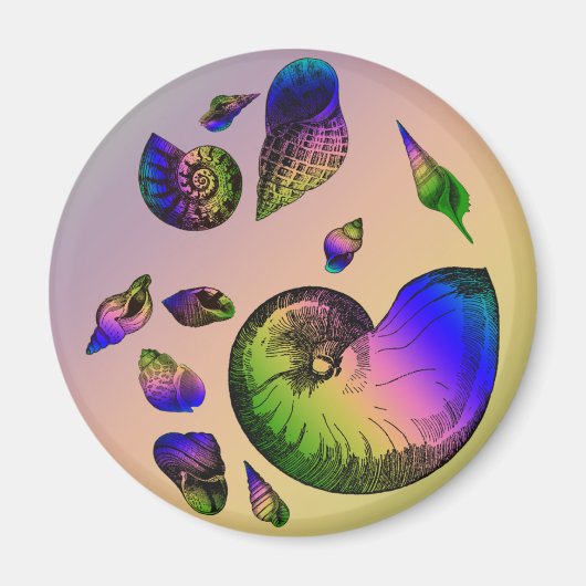Seashells Magnet (Vorne)