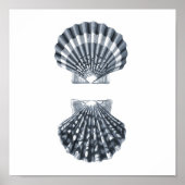 Seashells Meereswelt Group12A print#4 Stranddekora Poster (Vorne)
