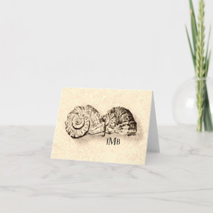 Seashells Mit Monogramm Creme Note Card Dankeskarte