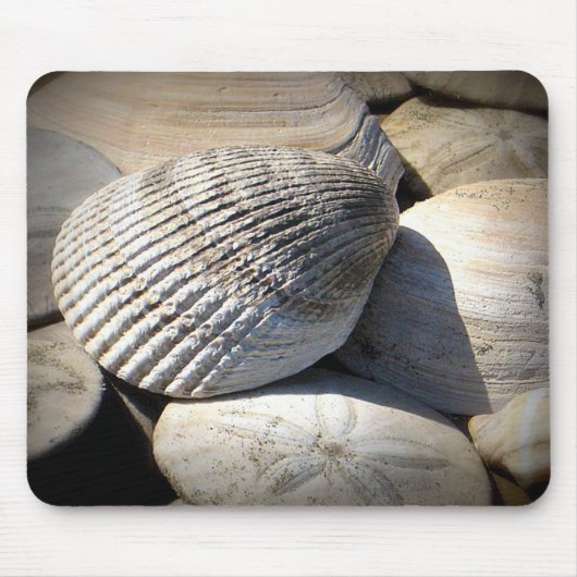 Seashells Mousepad (Vorne)